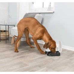 Distributore Automatico Doppio Tx2 Trixie - 300 Ml 7 Distributore Automatico Doppio Tx2 Trixie - 300 Ml -negozio di articoli per gatti 0. 2021 07 19t122600.045 1