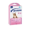 FORMEVET Fipralone Spot-on Per Gatti - 4 Pipette Da 0,5 Ml -negozio di articoli per gatti fipralone gatto formevet 4 pipette