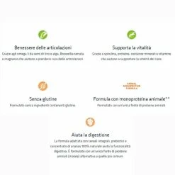 Natural Trainer Sensitive No Gluten Medium/Maxi Con Maiale - 12 Kg -negozio di articoli per gatti grafiche magento bauzaar 2023 01 27t101634.081