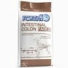 Forza10 Active Cane Intestinal Colon Fase 2 - 4 Kg -negozio di articoli per gatti grafiche magento bauzaar 2023 01 27t174246.472