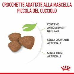 Royal Canin Mini Puppy Dog Food - 2 Kg -negozio di articoli per gatti grafiche magento bauzaar 2023 02 17t163151.507