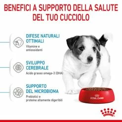 Royal Canin Mini Puppy Dog Food - 2 Kg -negozio di articoli per gatti grafiche magento bauzaar 2023 02 17t163156.874
