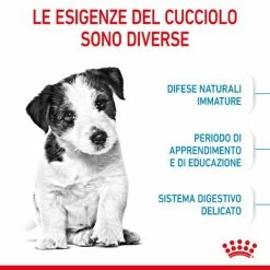 Royal Canin Mini Puppy Dog Food - 2 Kg -negozio di articoli per gatti grafiche magento bauzaar 2023 02 17t163202.340