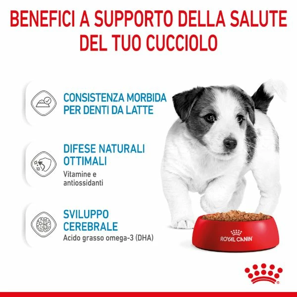 Royal Canin Puppy Umido - Medium 140 Gr 5 Royal Canin Puppy Umido - Medium 140 Gr - immagine 3