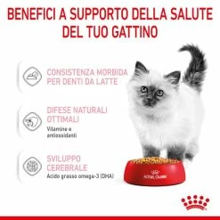 Royal Canin Kitten Instinctive In Gelatina - 85 Gr -negozio di articoli per gatti grafiche magento bauzaar 2023 02 17t163921.033 3