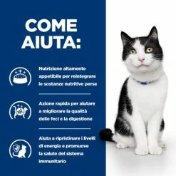 Hill's Prescription Diet I/d Teneri Bocconcini In Salsa 85 Gr - Salmone -negozio di articoli per gatti grafiche magento bauzaar 2023 02 24t152004.178