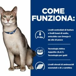 Hill's Prescription Diet K/d Feline 85 Gr - Manzo 9 Hill's Prescription Diet K/d Feline 85 Gr - Manzo -negozio di articoli per gatti grafiche magento bauzaar 2023 02 24t154515.160