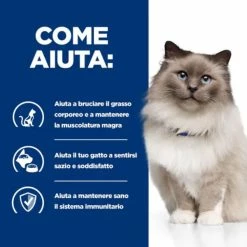 Hill's Prescription Diet R/d Feline - 1,5 Kg -negozio di articoli per gatti grafiche magento bauzaar 2023 02 24t161125.121