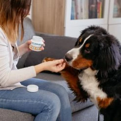 Virbac Movoflex Soft Chews Integratore Per Cani - Confezione Da 30 Compresse Per Cani S 0-15 Kg -negozio di articoli per gatti grafiche magento bauzaar 2023 03 01t145114.542