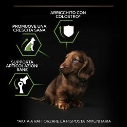 Purina Pro Plan Healthy Start Small E Mini Puppy Crocchette Cane Pollo - 3 Kg -negozio di articoli per gatti grafiche magento bauzaar 2023 03 13t095703.179