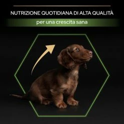 Purina Pro Plan Healthy Start Small E Mini Puppy Crocchette Cane Pollo - 3 Kg -negozio di articoli per gatti grafiche magento bauzaar 2023 03 13t095728.291