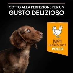 Purina Pro Plan Healthy Start Small E Mini Puppy Crocchette Cane Pollo - 3 Kg -negozio di articoli per gatti grafiche magento bauzaar 2023 03 13t095734.880