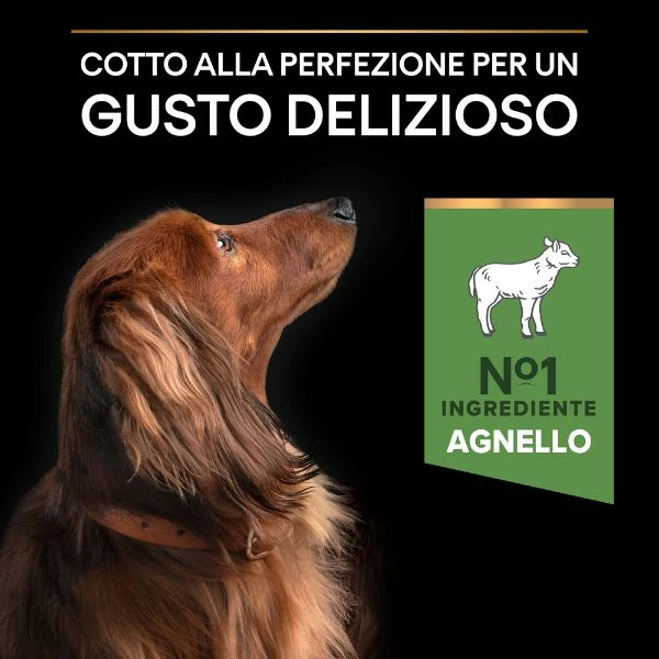 Purina Pro Plan Sensitive Digestion Small E Mini Adult Crocchette Cane Agnello - 3 Kg 10 Purina Pro Plan Sensitive Digestion Small E Mini Adult Crocchette Cane Agnello - 3 Kg - immagine 8
