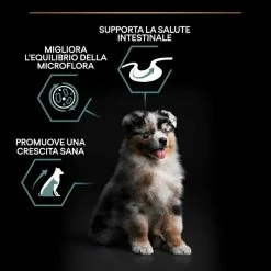 Purina Pro Plan Sensitive Digestion Medium Puppy Crocchette Cane Agnello - 3 Kg -negozio di articoli per gatti grafiche magento bauzaar 2023 03 13t114149.241