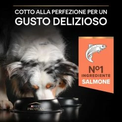 Purina Pro Plan Sensitive Skin Medium Adult Crocchette Per Cane Salmone - 3 Kg -negozio di articoli per gatti grafiche magento bauzaar 2023 03 13t115420.380