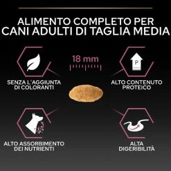 Purina Pro Plan Sensitive Skin Medium Adult Crocchette Per Cane Salmone - 3 Kg -negozio di articoli per gatti grafiche magento bauzaar 2023 03 13t115432.795