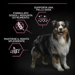 Purina Pro Plan Sensitive Skin Medium Adult Crocchette Per Cane Salmone - 3 Kg -negozio di articoli per gatti grafiche magento bauzaar 2023 03 13t115450.324