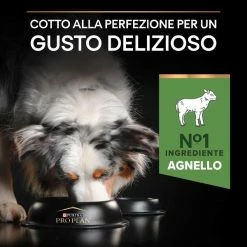 Purina Pro Plan Sensitive Digestion Medium Adult Crocchette Cane Agnello - 3 Kg -negozio di articoli per gatti grafiche magento bauzaar 2023 03 13t121242.884