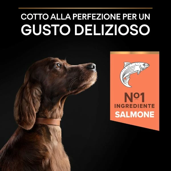 Purina Pro Plan Sensitive Skin Large Athletic Adult Crocchette Cane Salmone - 14 Kg 9 Purina Pro Plan Sensitive Skin Large Athletic Adult Crocchette Cane Salmone - 14 Kg - immagine 7
