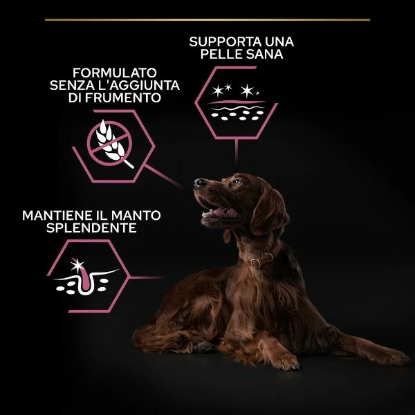 Purina Pro Plan Sensitive Skin Large Athletic Adult Crocchette Cane Salmone - 14 Kg 7 Purina Pro Plan Sensitive Skin Large Athletic Adult Crocchette Cane Salmone - 14 Kg - immagine 5