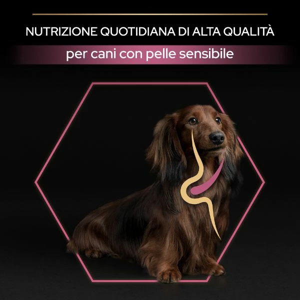 Purina Pro Plan Sensitive Skin Small & Mini Adult Crocchette Cane Salmone - 3 Kg 9 Purina Pro Plan Sensitive Skin Small & Mini Adult Crocchette Cane Salmone - 3 Kg - immagine 7