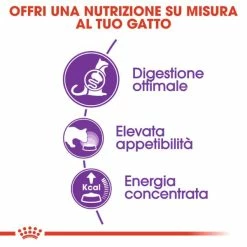 Royal Canin Sensible 33 Cat Food - 2 Kg -negozio di articoli per gatti grafiche magento bauzaar 2023 03 14t152006.348