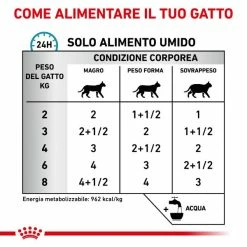 Royal Canin Gatto Sensitivity Control Multipack 12 X 85 Gr - Pollo 11 Royal Canin Gatto Sensitivity Control Multipack 12 X 85 Gr - Pollo -negozio di articoli per gatti grafiche magento bauzaar 2023 03 27t121101.177