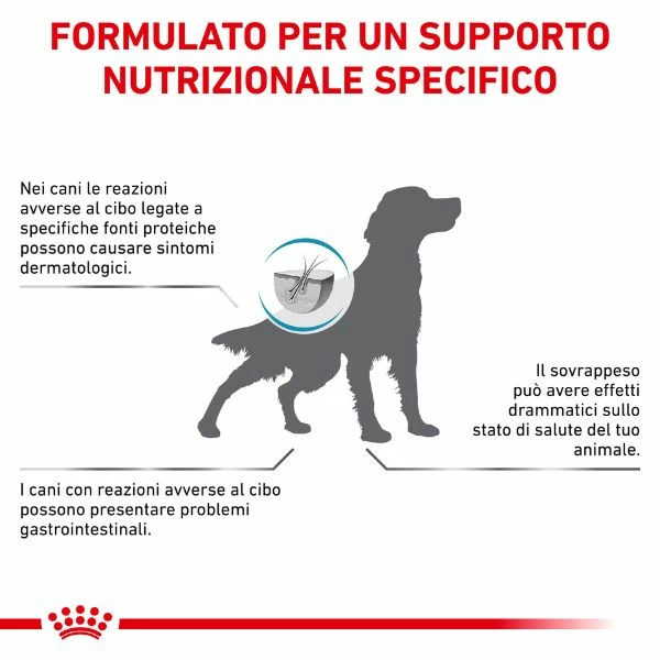 Royal Canin Hypoallergenic Moderate Calorie - 1,5 Kg 4 Royal Canin Hypoallergenic Moderate Calorie - 1,5 Kg - immagine 2