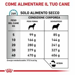 Royal Canin Hypoallergenic Moderate Calorie - 1,5 Kg 12 Royal Canin Hypoallergenic Moderate Calorie - 1,5 Kg -negozio di articoli per gatti grafiche magento bauzaar 2023 03 27t122705.252