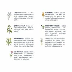 Vet Line Formula Adulti Cat 85 Gr - Pollo E Tonno 11 Vet Line Formula Adulti Cat 85 Gr - Pollo E Tonno -negozio di articoli per gatti grafiche magento bauzaar 2023 04 26t111854.629