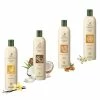 Shampoo Bio 250 Ml Record - Camomilla 1 Shampoo Bio 250 Ml Record - Camomilla -negozio di articoli per gatti grafiche magento bauzaar 2023 04 26t135318.224