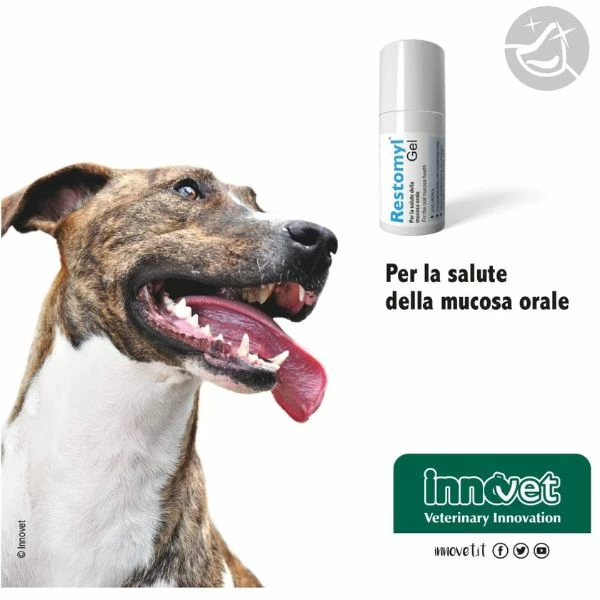 Restomyl Gel Per La Mucosa Orale Innovet - 30 Ml 6 Restomyl Gel Per La Mucosa Orale Innovet - 30 Ml - immagine 4