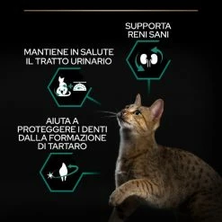 Purina Pro Plan Renal Plus Sterilised Adult 1+ Con Tacchino - 1,5 Kg -negozio di articoli per gatti grafiche magento bauzaar 2023 05 22t102542.555