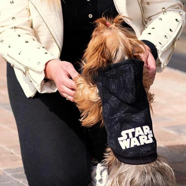 Felpa Star Wars For Fan Pets - M 7 Felpa Star Wars For Fan Pets - M - immagine 5