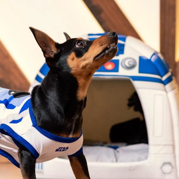 Cuccia Igloo Comics Star Wars For Fan Pets - 38x38x40 Cm 5 Cuccia Igloo Comics Star Wars For Fan Pets - 38x38x40 Cm - immagine 3