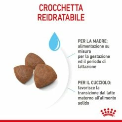 Royal Canin Medium Starter - Mother & Babydog - 4 Kg -negozio di articoli per gatti grafiche magento bauzaar 2023 06 06t184859.017