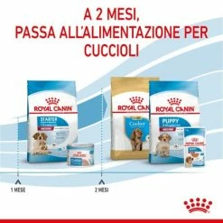 Royal Canin Medium Starter - Mother & Babydog - 4 Kg -negozio di articoli per gatti grafiche magento bauzaar 2023 06 06t184909.786