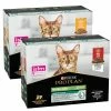 Purina Pro Plan Cat Adult Sterilised Maintenence Multipack 10x85g - Pollo -negozio di articoli per gatti grafiche magento bauzaar 2023 06 28t125110.815