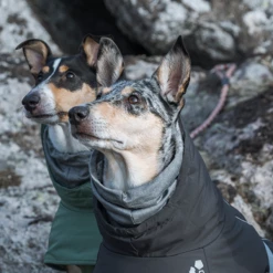 Giacca Extreme Warmer 2 Eco Hurtta - Verde-65 Cm -negozio di articoli per gatti grafiche prodotti magento 2021 09 30t155559.900 4