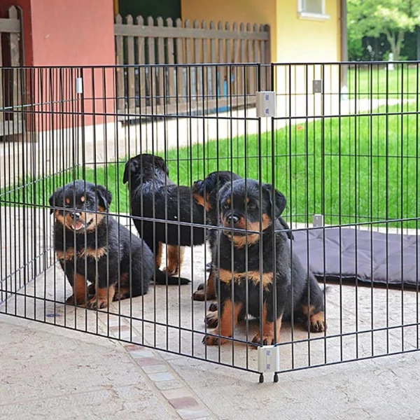 Recinto Per Cuccioli Dog Training Ferplast - 80 X 80 X H 62 Cm 5 Recinto Per Cuccioli Dog Training Ferplast - 80 X 80 X H 62 Cm - immagine 3