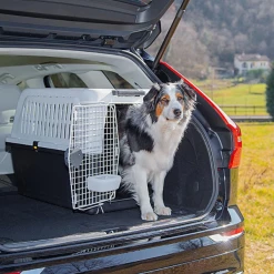 Trasportino Per Cani Atlas Professional Ferplast - Atlas 60 - 61x91x68 Cm 11 Trasportino Per Cani Atlas Professional Ferplast - Atlas 60 - 61x91x68 Cm -negozio di articoli per gatti grafiche prodotti magento 2021 10 21t092434.437