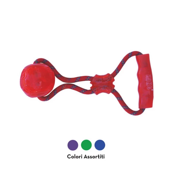 Kong Squeezz Ball Con Maniglia - Colori Assortiti - Medium 4 Kong Squeezz Ball Con Maniglia - Colori Assortiti - Medium - immagine 2