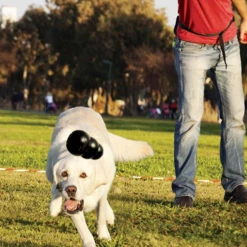 Kong Extreme - Medium -negozio di articoli per gatti grafiche prodotti magento 600x600 2021 11 19t120109.920