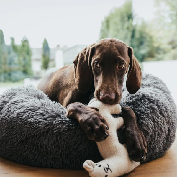 Cuccia In Morbido Peluche Loppa Hunter - Antracite - S: Diametro 60 Cm 6 Cuccia In Morbido Peluche Loppa Hunter - Antracite - S: Diametro 60 Cm - immagine 4