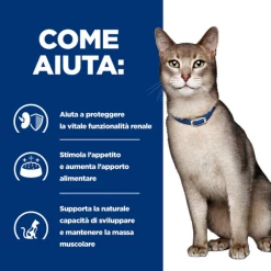 Hill's Prescription Diet K/d Feline - 1,5 Kg -negozio di articoli per gatti grafiche prodotti magento 600x600 2022 02 27t184110.019