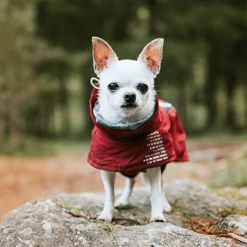 Giacca Extreme Warmer 2 Eco Hurtta - Verde-65 Cm -negozio di articoli per gatti grafiche prodotti magento 600x600 2022 03 25t124615.057