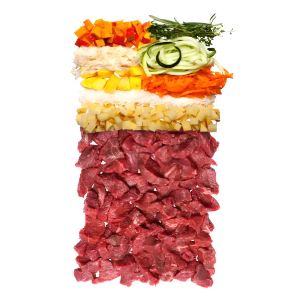 Terra Canis Secco Canireo Grain Free Selvaggina - 2,5 Kg 4 Terra Canis Secco Canireo Grain Free Selvaggina - 2,5 Kg - immagine 2