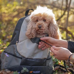 Zaino Kangoo Grigio Ferplast - Large -negozio di articoli per gatti grafiche prodotti magento 600x600 2022 04 01t181403.180