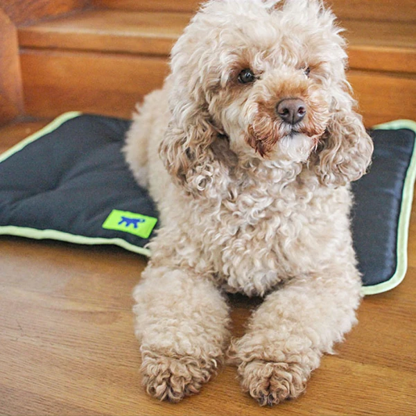 Ferplast Cuscino Jolly Nero - JOLLY 85 - 83x50 Cm 5 Ferplast Cuscino Jolly Nero - JOLLY 85 - 83x50 Cm - immagine 3