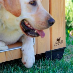 Cuccia In Legno Domus Ferplast - Mini 22 Cuccia In Legno Domus Ferplast - Mini -negozio di articoli per gatti grafiche prodotti magento 600x600 2022 04 04t140702.424 1